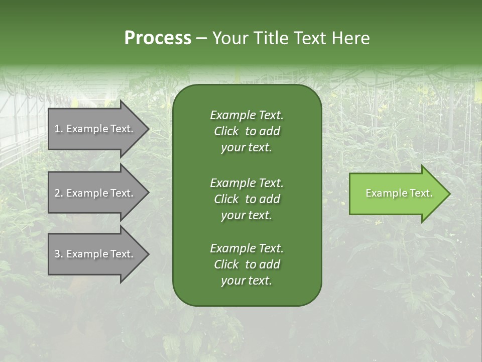 Greenhouse With Tomato Plants PowerPoint Template