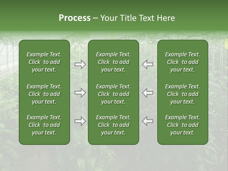Greenhouse With Tomato Plants PowerPoint Template