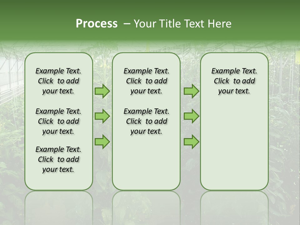 Greenhouse With Tomato Plants PowerPoint Template