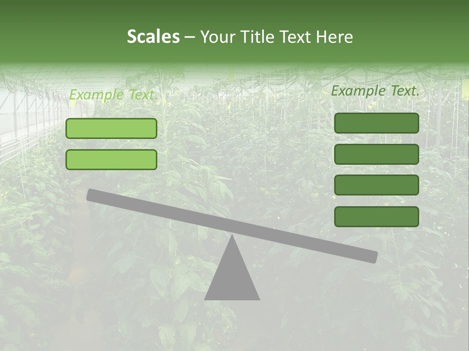 Greenhouse With Tomato Plants PowerPoint Template