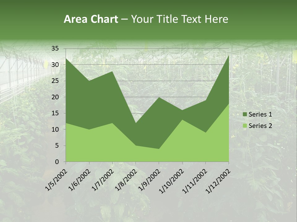 Greenhouse With Tomato Plants PowerPoint Template