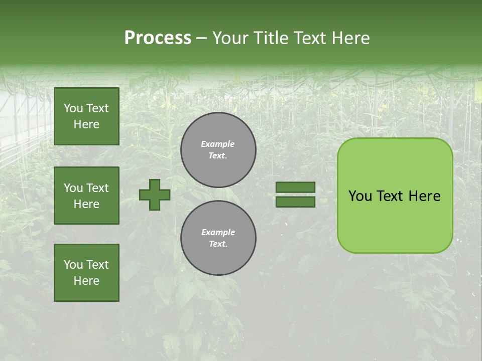 Greenhouse With Tomato Plants PowerPoint Template