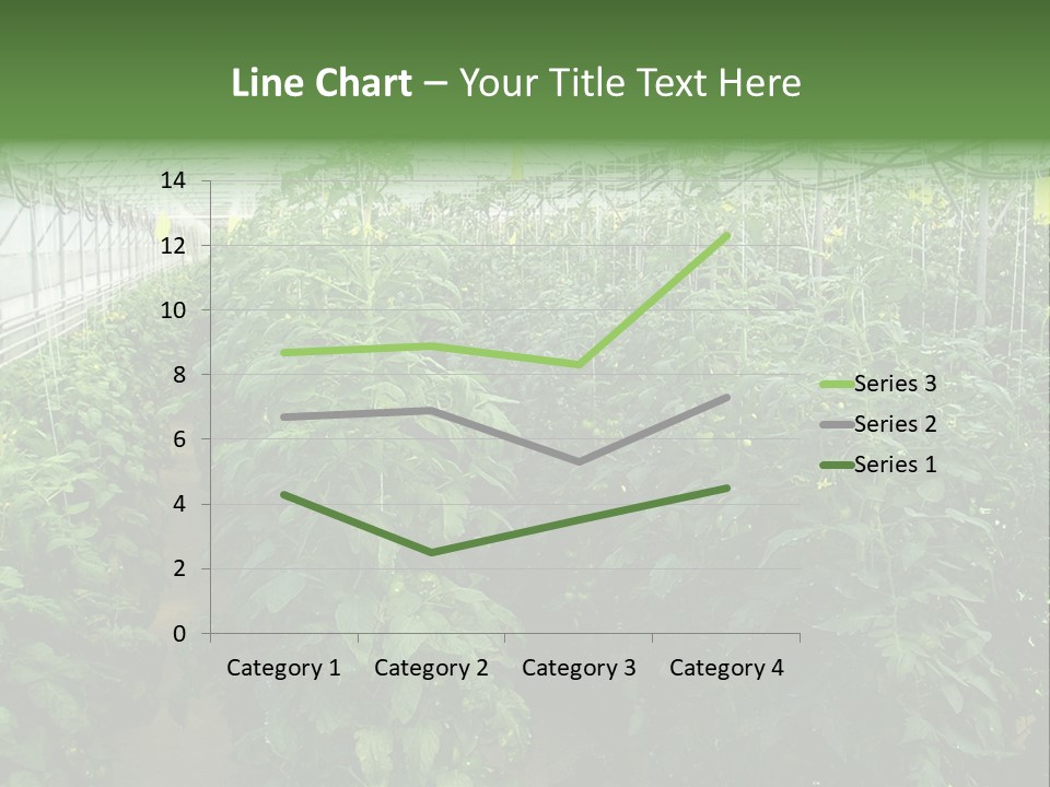 Greenhouse With Tomato Plants PowerPoint Template