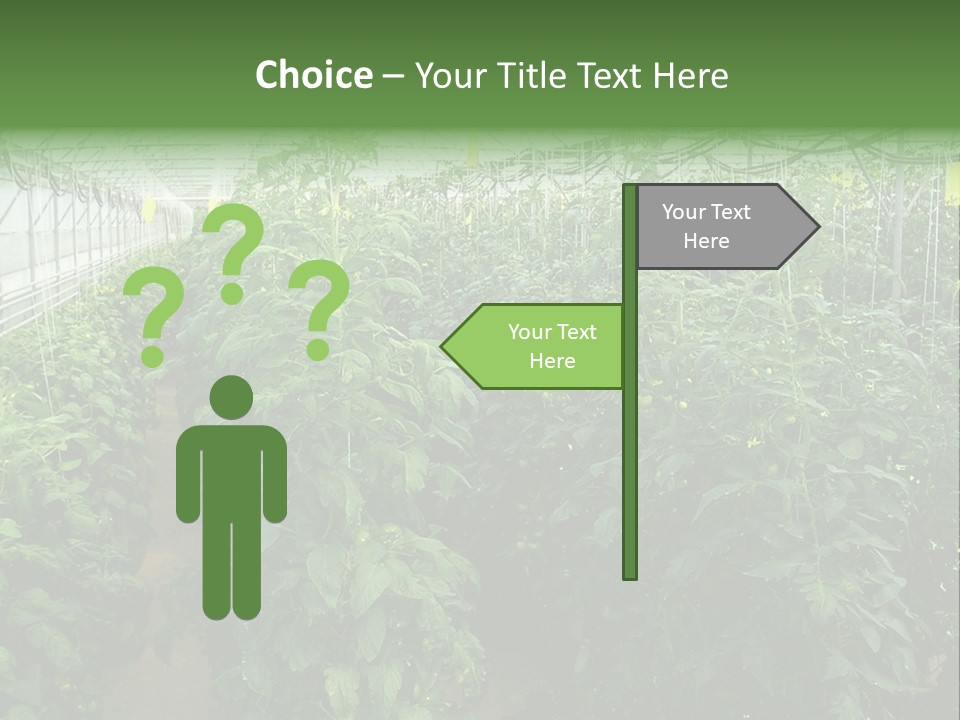 Greenhouse With Tomato Plants PowerPoint Template