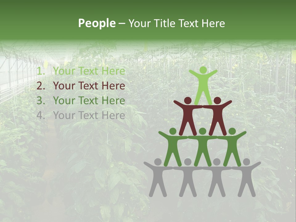 Greenhouse With Tomato Plants PowerPoint Template