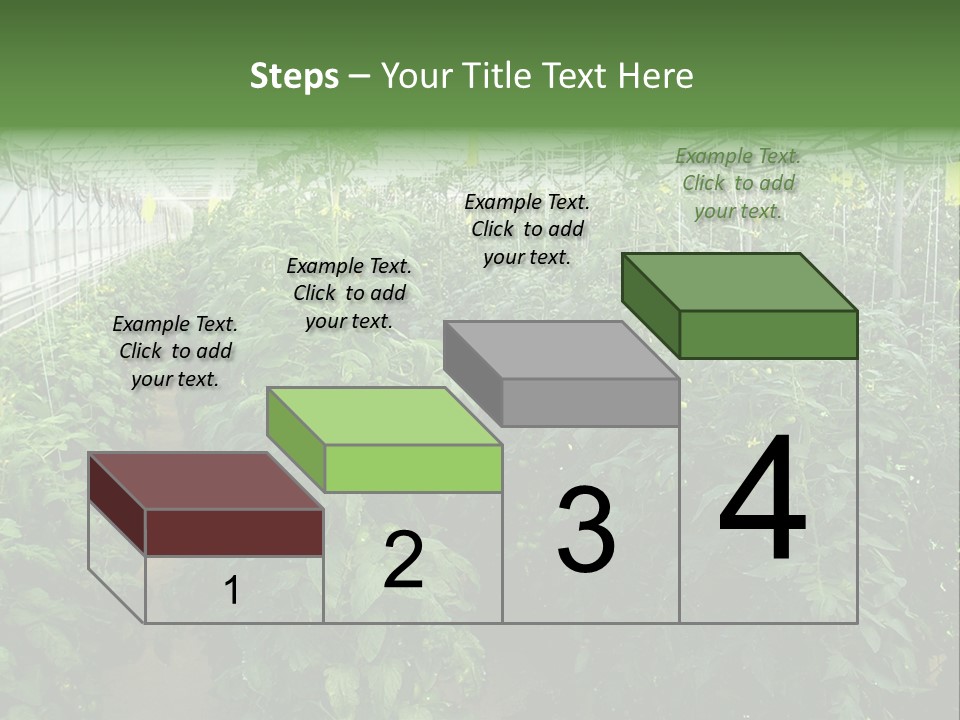 Greenhouse With Tomato Plants PowerPoint Template