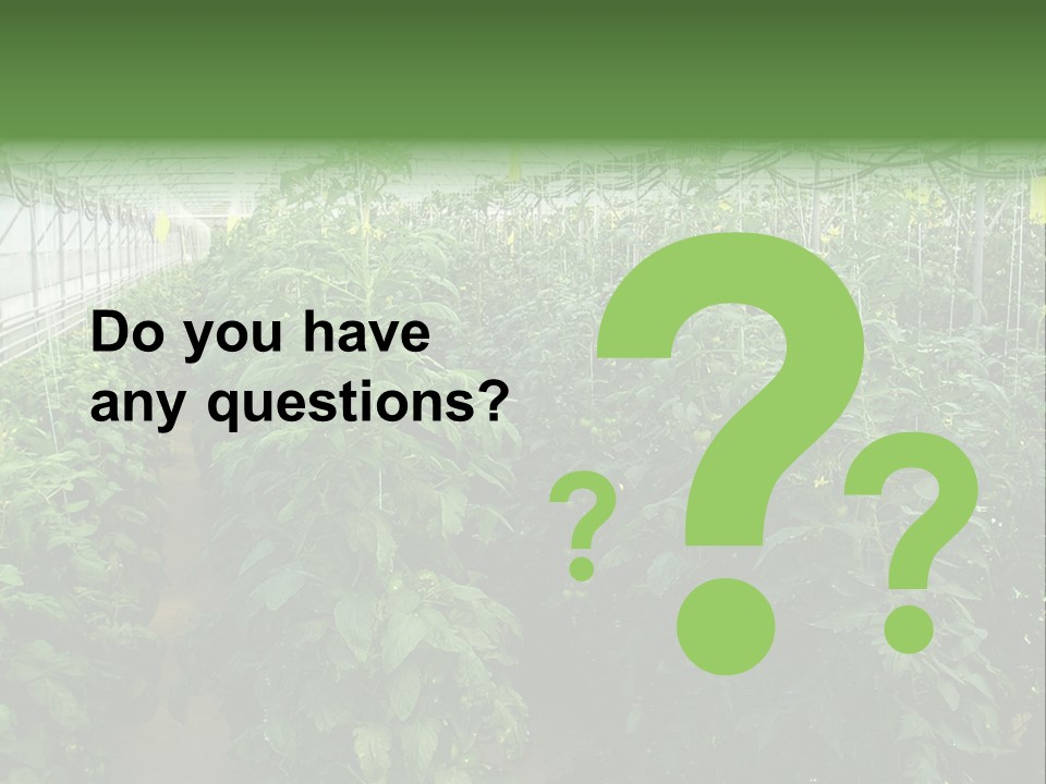 Greenhouse With Tomato Plants PowerPoint Template