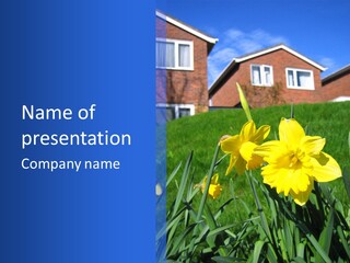 Yellow Daffodils With Blurred British Houses In The Background PowerPoint Template