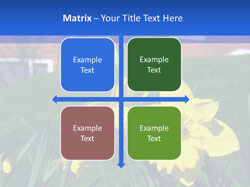 Yellow Daffodils With Blurred British Houses In The Background PowerPoint Template