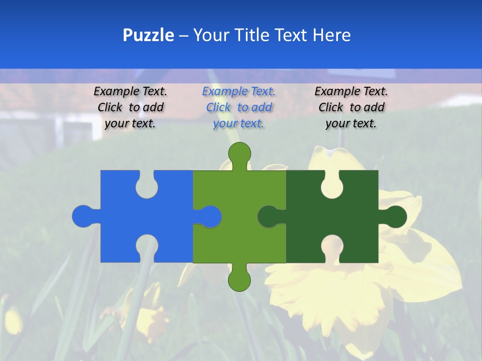 Yellow Daffodils With Blurred British Houses In The Background PowerPoint Template