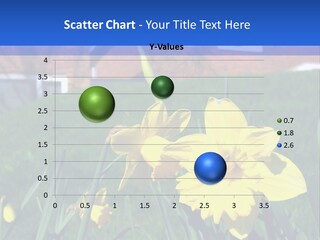 Yellow Daffodils With Blurred British Houses In The Background PowerPoint Template