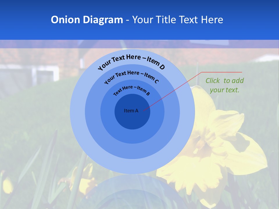 Yellow Daffodils With Blurred British Houses In The Background PowerPoint Template