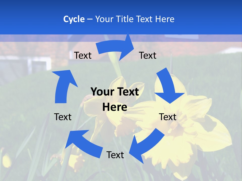 Yellow Daffodils With Blurred British Houses In The Background PowerPoint Template