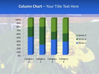 Yellow Daffodils With Blurred British Houses In The Background PowerPoint Template