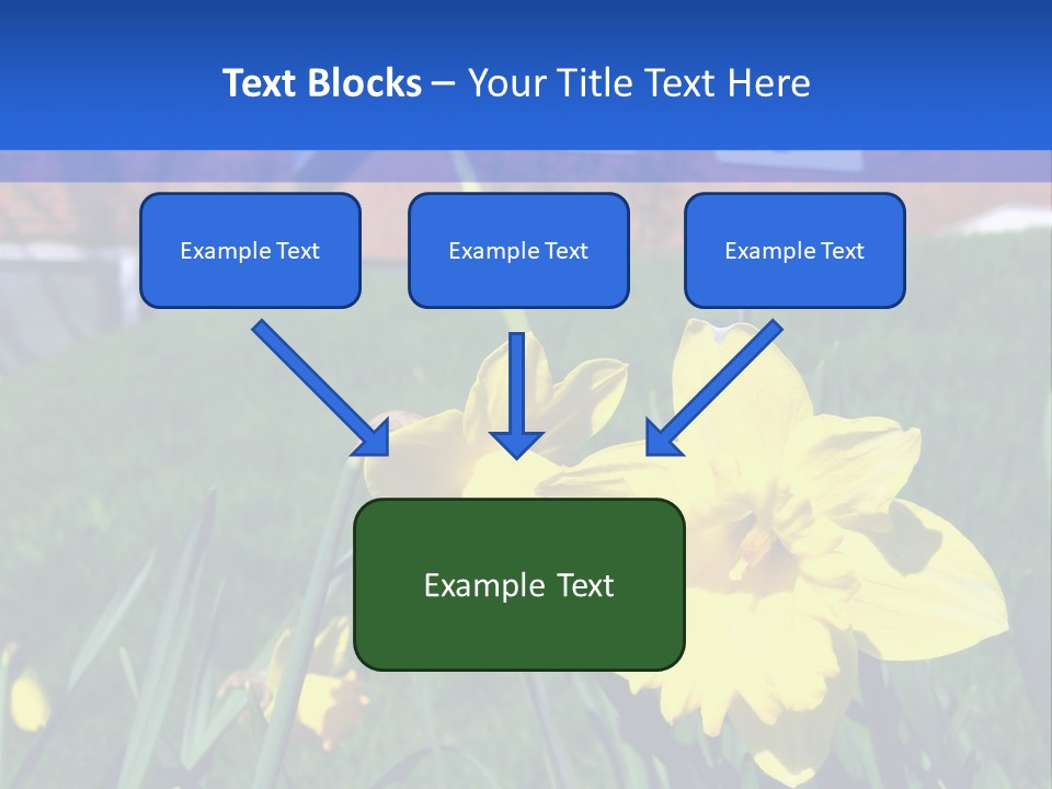 Yellow Daffodils With Blurred British Houses In The Background PowerPoint Template