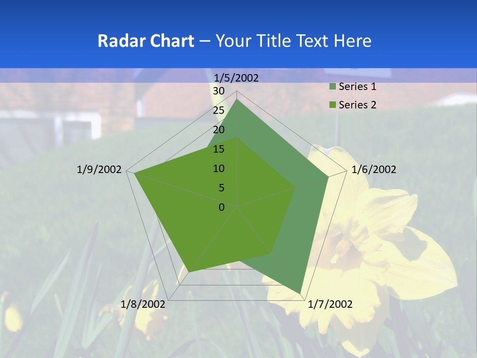 Yellow Daffodils With Blurred British Houses In The Background PowerPoint Template