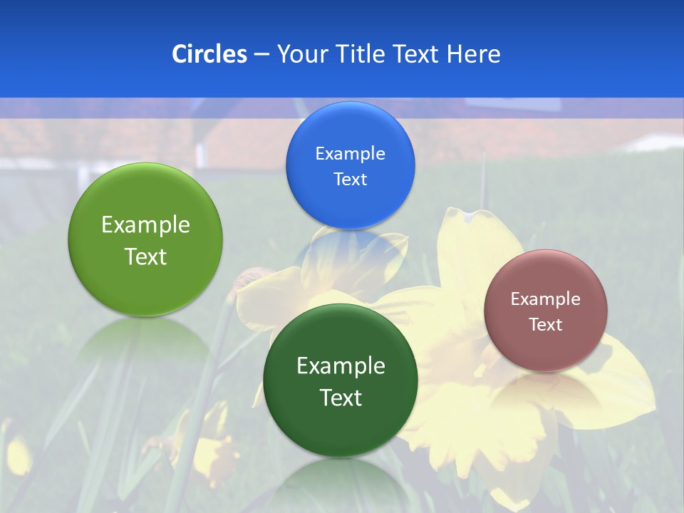 Yellow Daffodils With Blurred British Houses In The Background PowerPoint Template