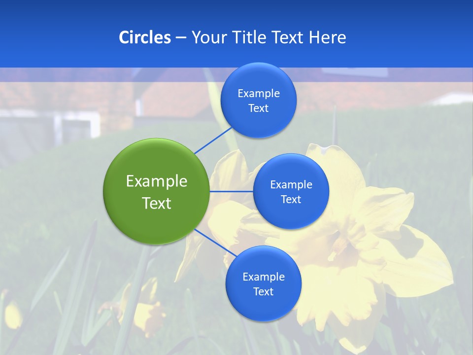 Yellow Daffodils With Blurred British Houses In The Background PowerPoint Template