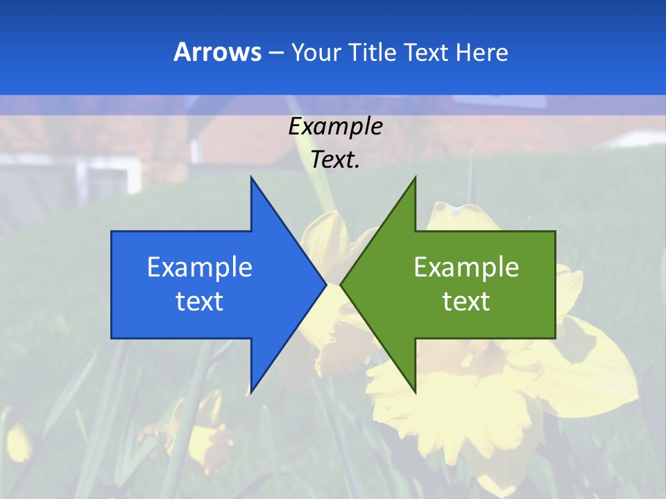 Yellow Daffodils With Blurred British Houses In The Background PowerPoint Template