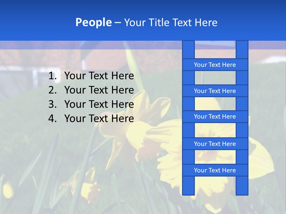 Yellow Daffodils With Blurred British Houses In The Background PowerPoint Template