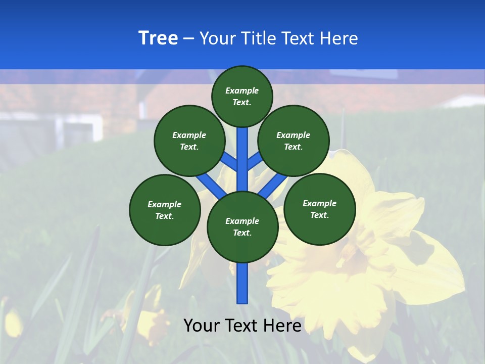 Yellow Daffodils With Blurred British Houses In The Background PowerPoint Template