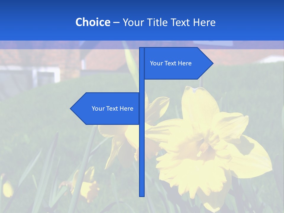 Yellow Daffodils With Blurred British Houses In The Background PowerPoint Template