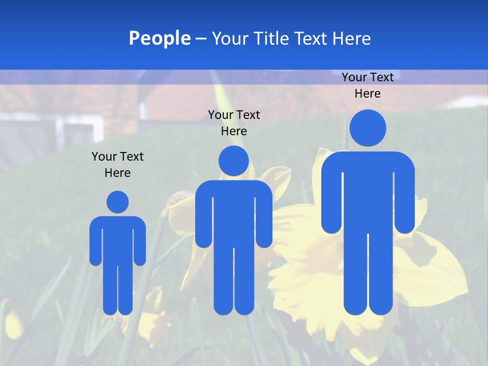 Yellow Daffodils With Blurred British Houses In The Background PowerPoint Template