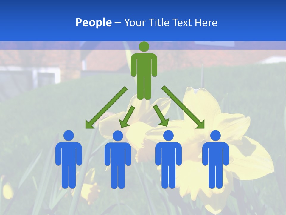 Yellow Daffodils With Blurred British Houses In The Background PowerPoint Template