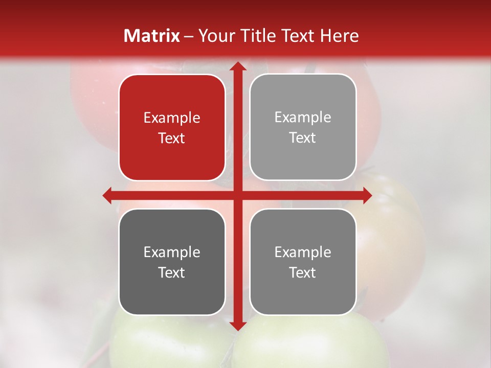 A Bunch Of Tomatoes On A Plant With A Red Background PowerPoint Template