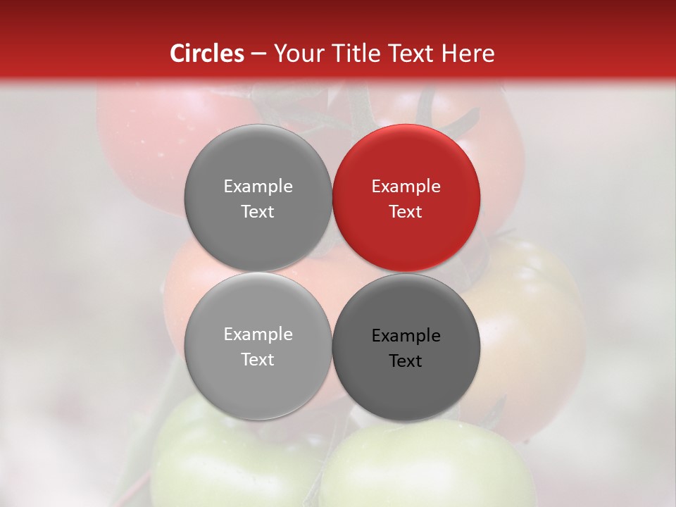 A Bunch Of Tomatoes On A Plant With A Red Background PowerPoint Template
