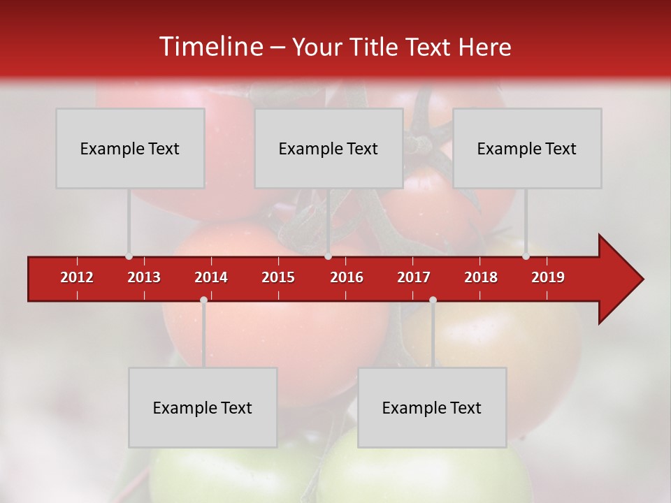 A Bunch Of Tomatoes On A Plant With A Red Background PowerPoint Template