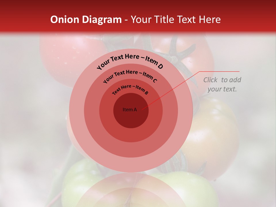 A Bunch Of Tomatoes On A Plant With A Red Background PowerPoint Template