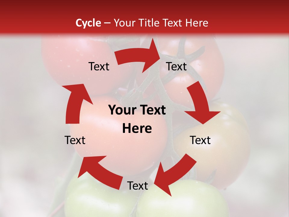 A Bunch Of Tomatoes On A Plant With A Red Background PowerPoint Template