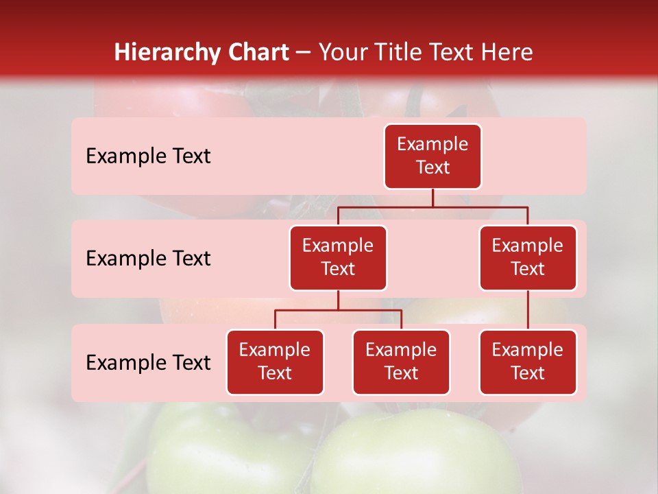 A Bunch Of Tomatoes On A Plant With A Red Background PowerPoint Template