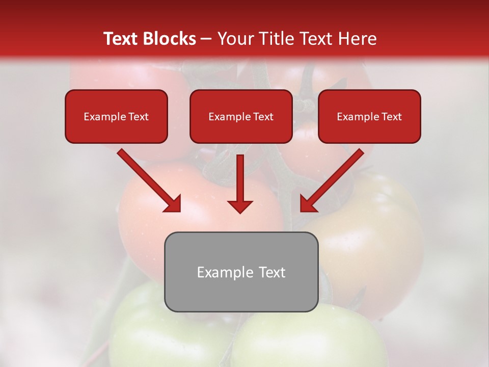 A Bunch Of Tomatoes On A Plant With A Red Background PowerPoint Template