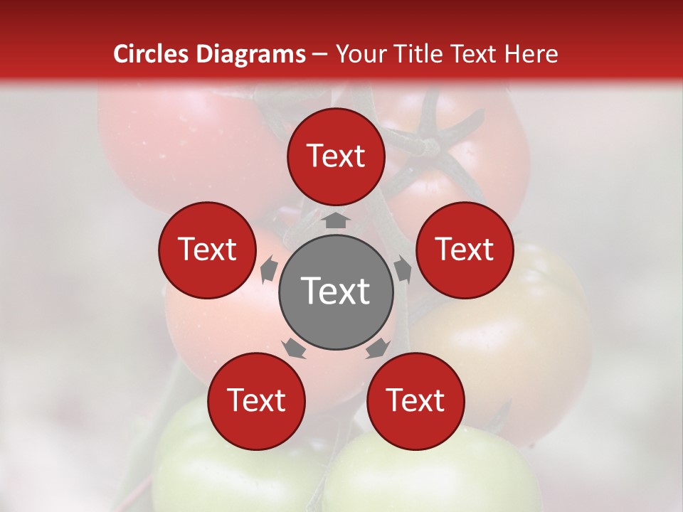 A Bunch Of Tomatoes On A Plant With A Red Background PowerPoint Template