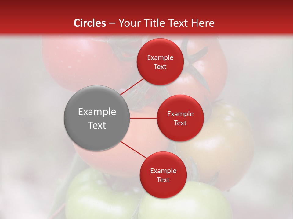 A Bunch Of Tomatoes On A Plant With A Red Background PowerPoint Template