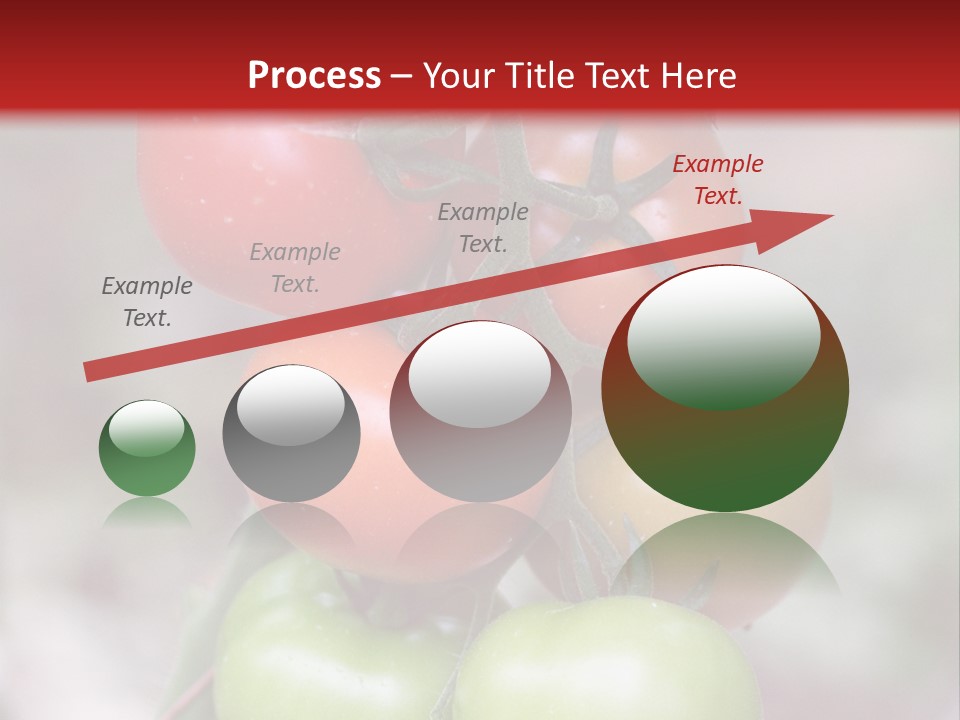 A Bunch Of Tomatoes On A Plant With A Red Background PowerPoint Template