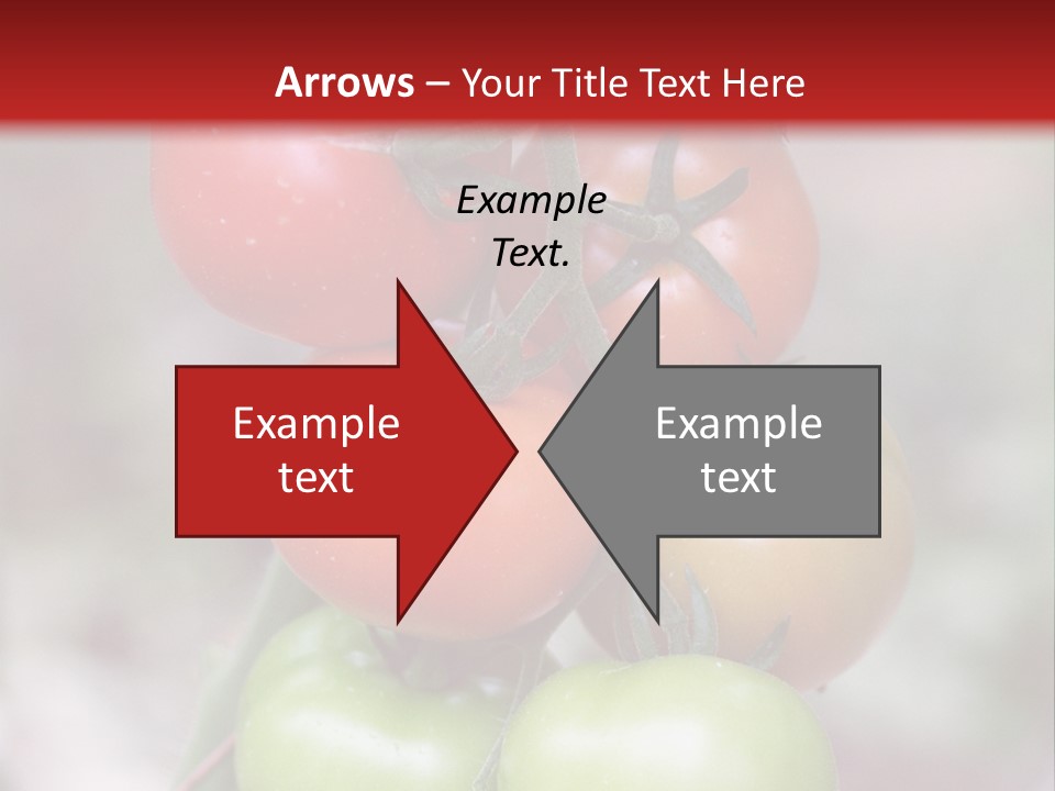 A Bunch Of Tomatoes On A Plant With A Red Background PowerPoint Template