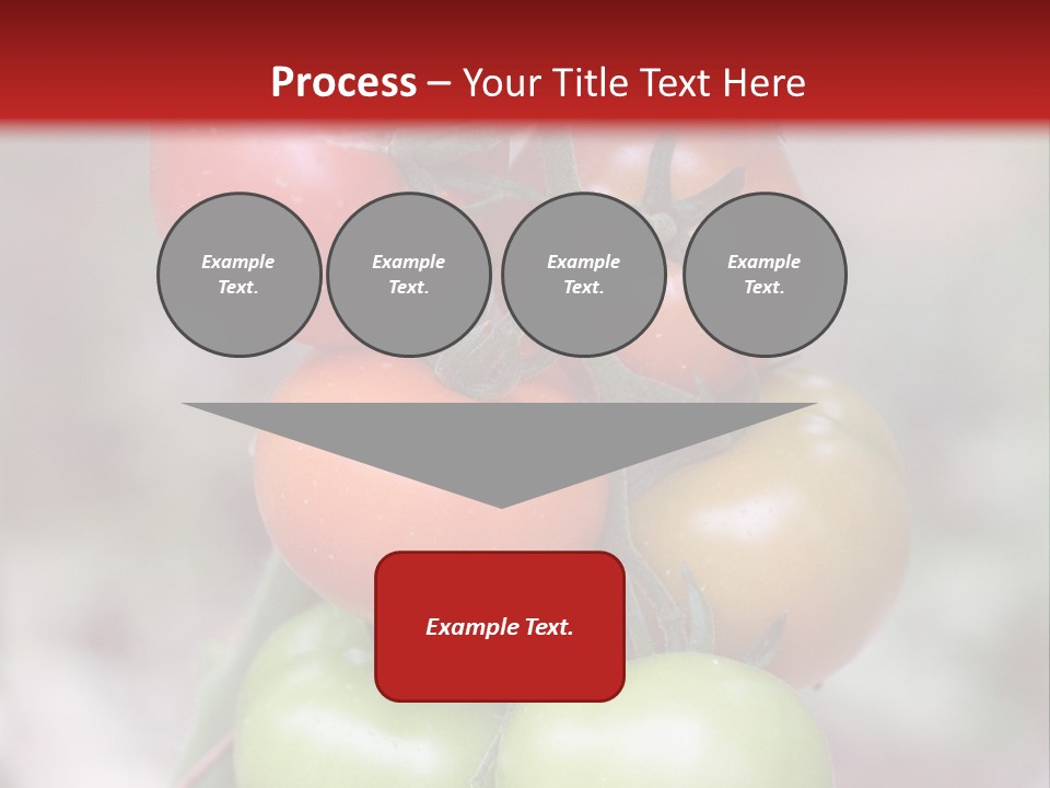 A Bunch Of Tomatoes On A Plant With A Red Background PowerPoint Template