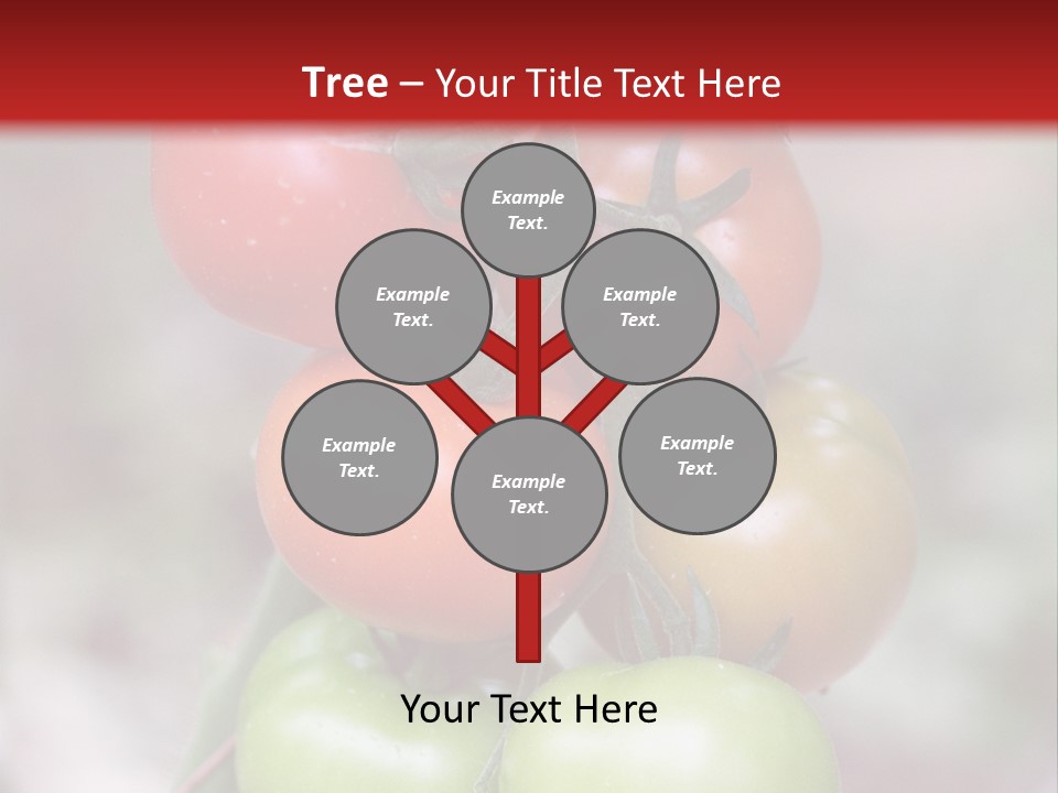 A Bunch Of Tomatoes On A Plant With A Red Background PowerPoint Template