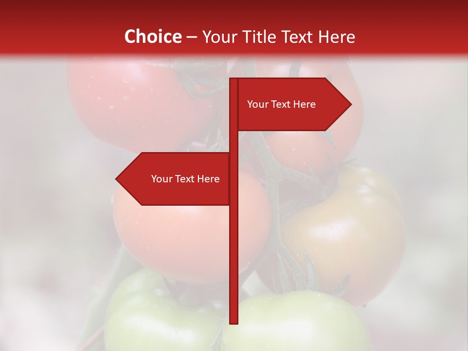 A Bunch Of Tomatoes On A Plant With A Red Background PowerPoint Template