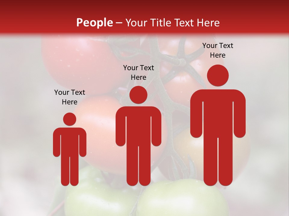 A Bunch Of Tomatoes On A Plant With A Red Background PowerPoint Template