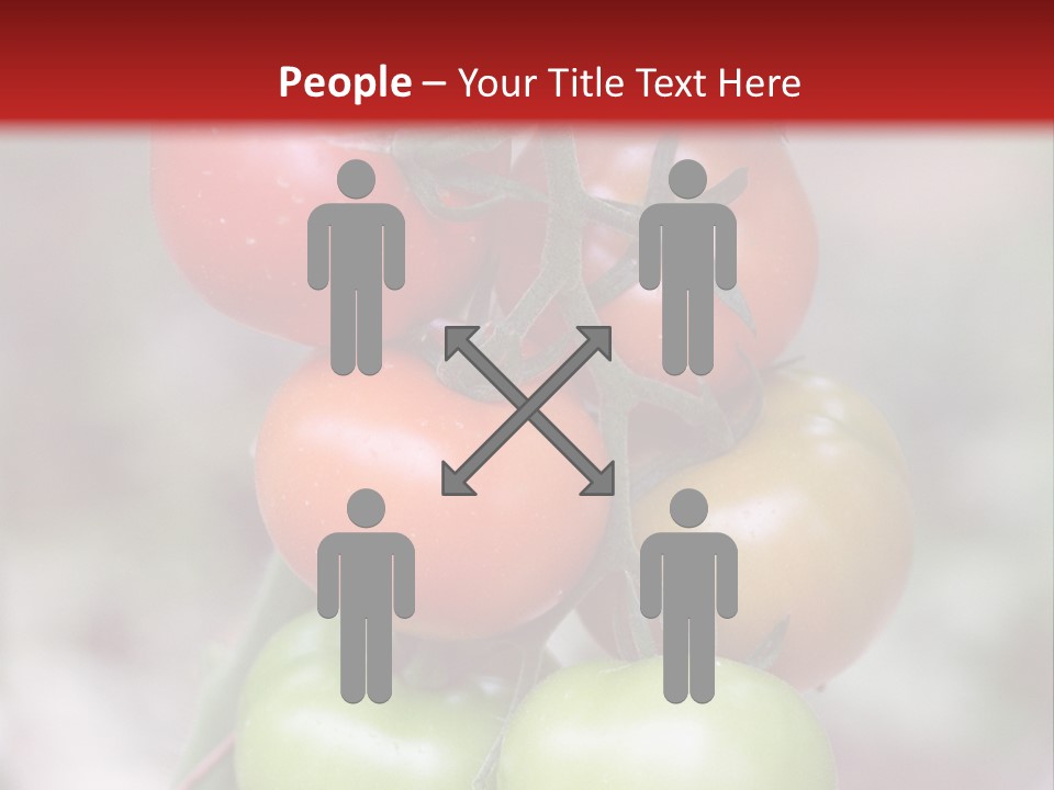 A Bunch Of Tomatoes On A Plant With A Red Background PowerPoint Template