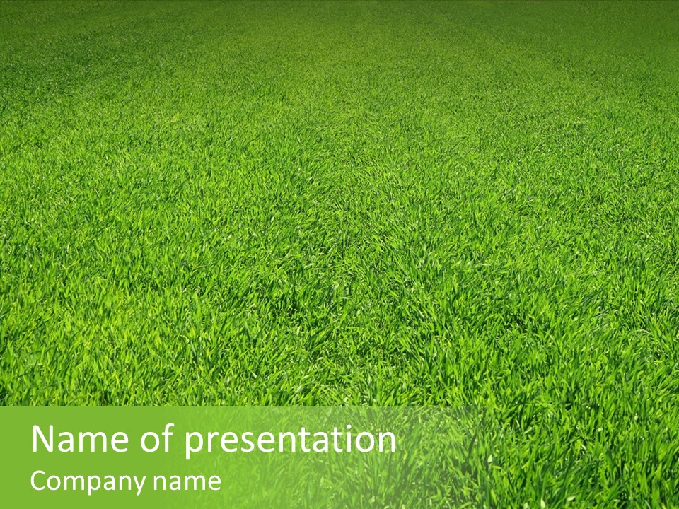 Green Grass Background PowerPoint Template