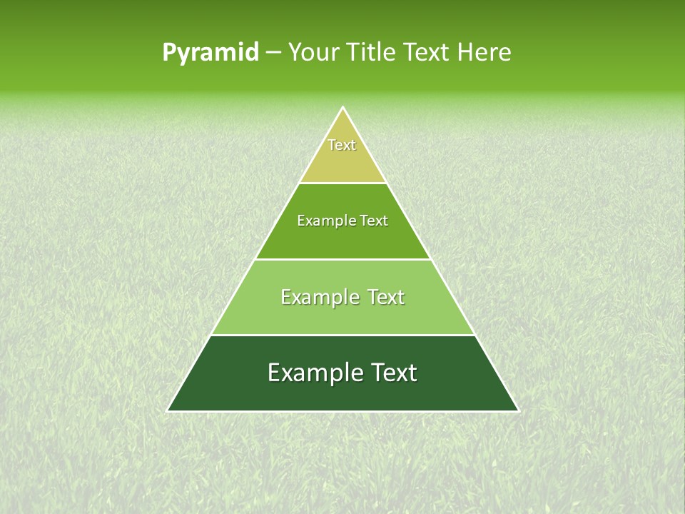 Green Grass Background PowerPoint Template