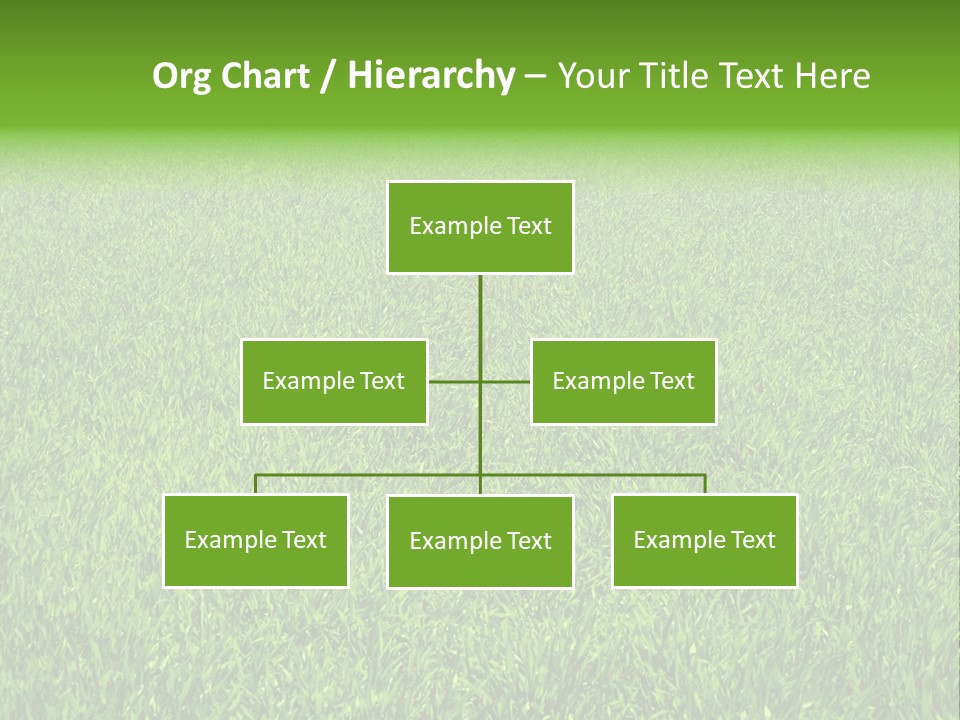 Green Grass Background PowerPoint Template