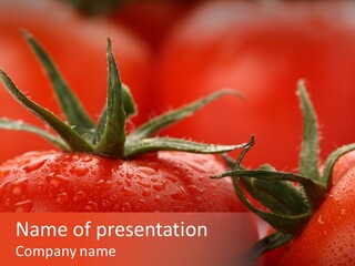 Perfect Fresh Red Wet Tomatoes With Tomato On Background, Very Soft Focus, Super Macro Shot. PowerPoint Template