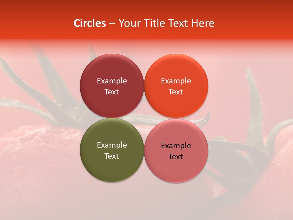 Perfect Fresh Red Wet Tomatoes With Tomato On Background, Very Soft Focus, Super Macro Shot. PowerPoint Template