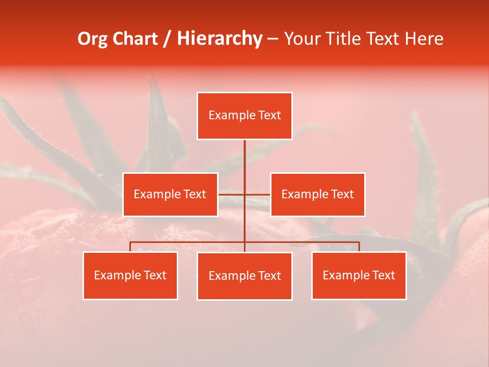 Perfect Fresh Red Wet Tomatoes With Tomato On Background, Very Soft Focus, Super Macro Shot. PowerPoint Template